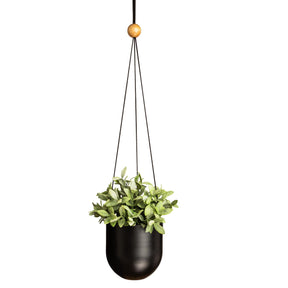 Duo-amppeliruukku, musta, 14 cm